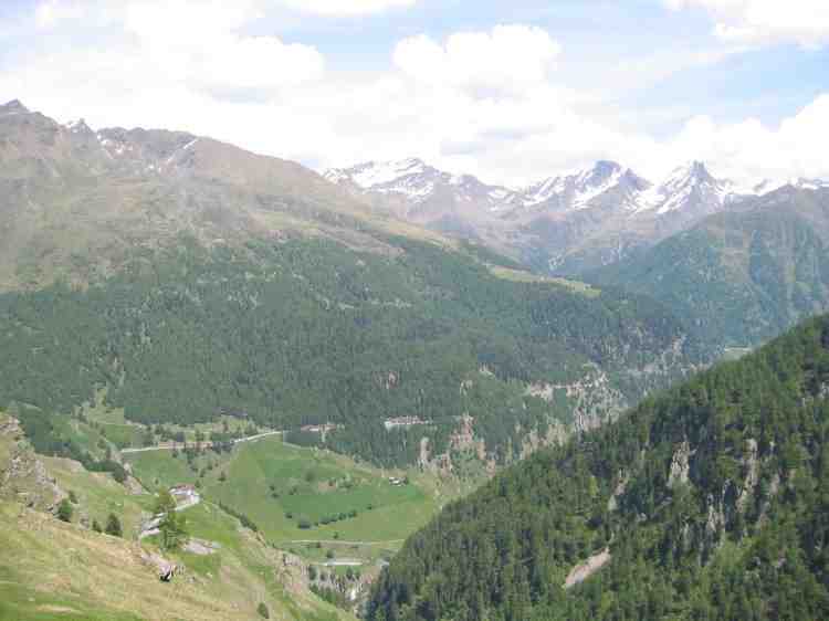 dol020806g.jpg (91099 bytes)