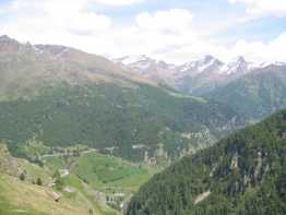 dol020806g.jpg (10205 bytes)