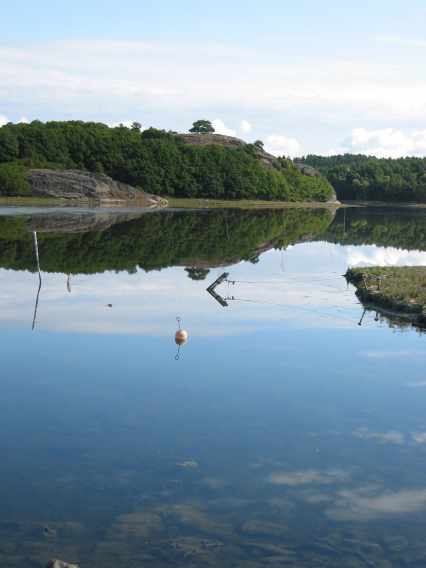 109-0919_img-g.jpg (15790 bytes)