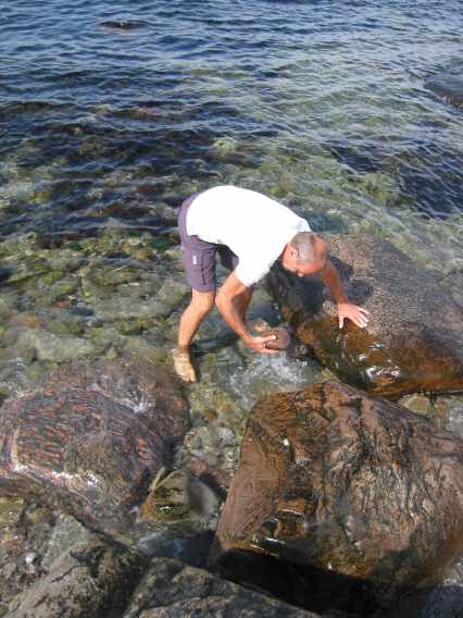 109-0948_img-g.jpg (36826 bytes)