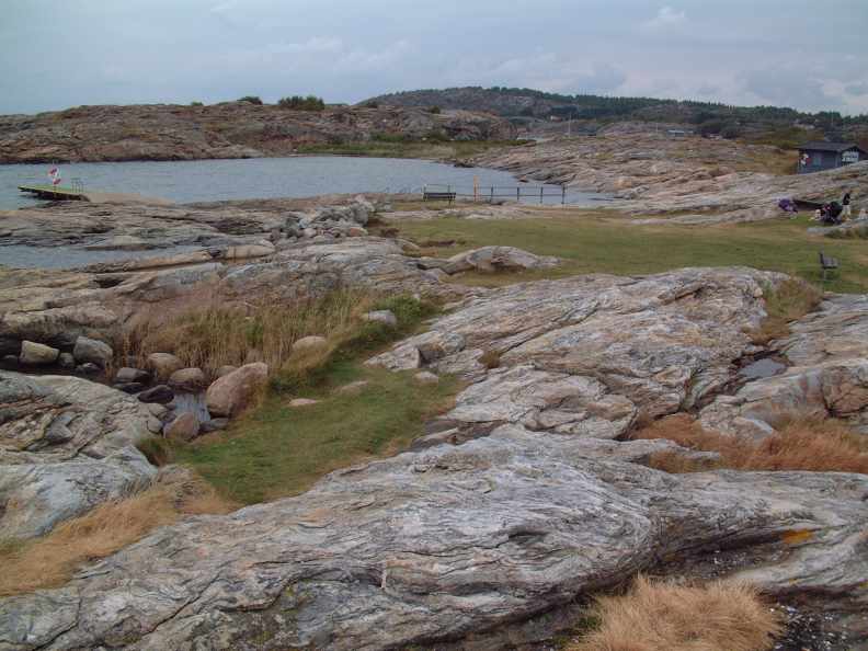 Dscf2595-g.jpg (56630 bytes)